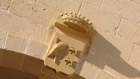 Produzione olio extravergine d’oliva - Oleificio Accordi SRL – Lecce