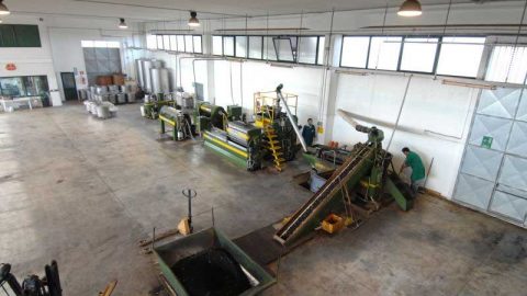Produzione olio extravergine d’oliva - Oleificio Accordi SRL – Lecce