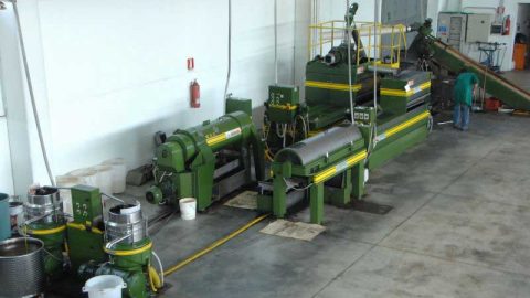 Produzione olio extravergine d’oliva - Oleificio Accordi SRL – Lecce